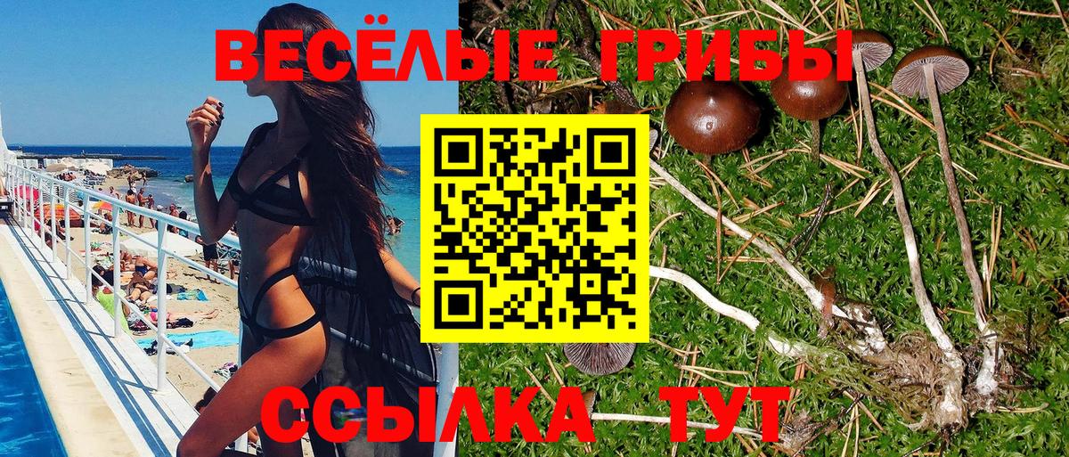 Псилоцибиновые грибы мухоморы  Вход с VPN  дарнет шоп  Добрянка 