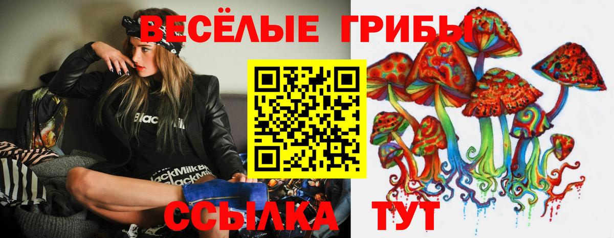 Псилоцибиновые грибы мицелий Добрянка